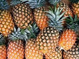 production of pineapples in australia