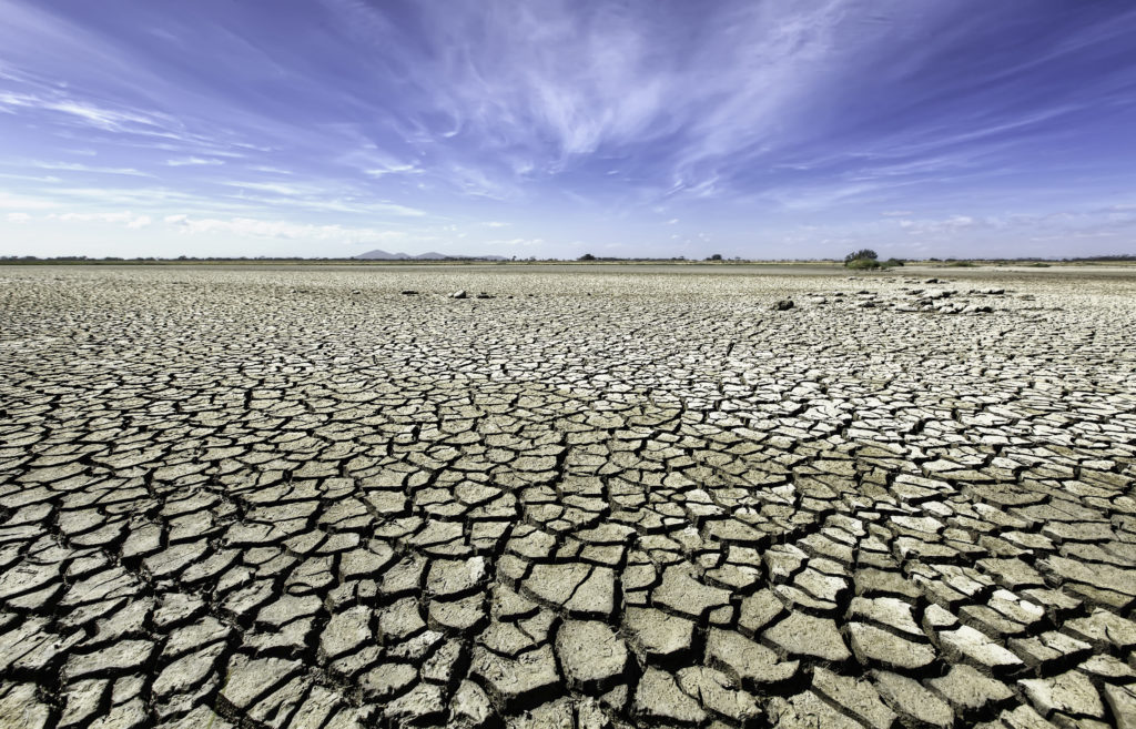 Drought Plan Made by Australian Organisation - Orchard Tech