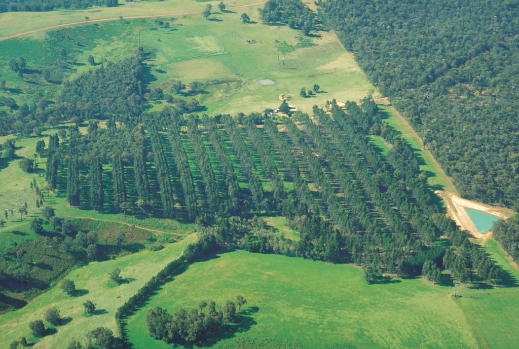 aussie-farmers-much-more-optimistic-than-counterparts-orchard-tech